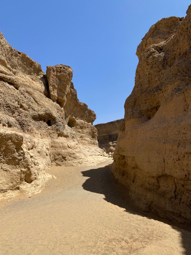 Desierto de Namibia 🏜️