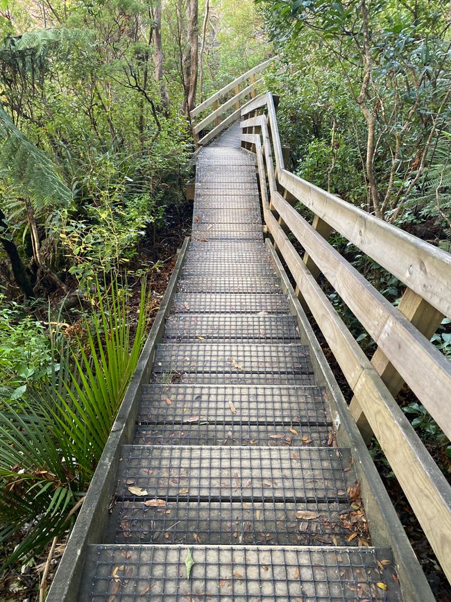 De whangarei à auckland