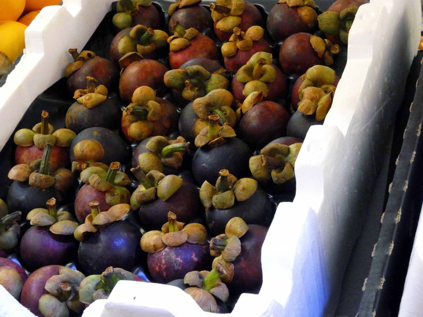 Mangostano