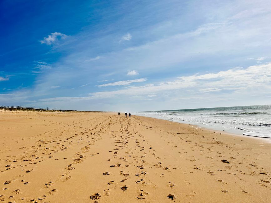 Von Praia do Garrão Nascente bis Praia do Ancão – Ein Strandspaziergang an der Algarve