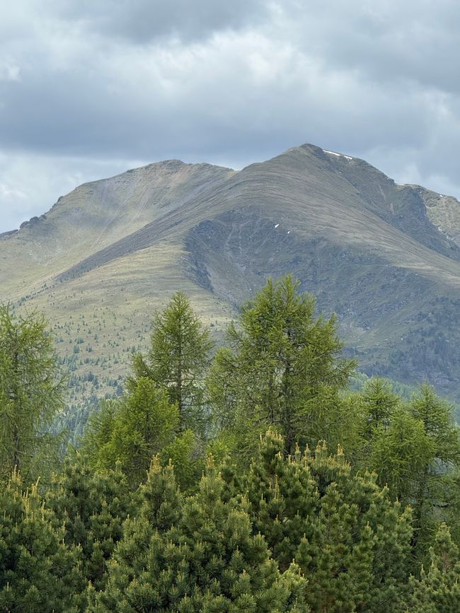 Hirnkopf