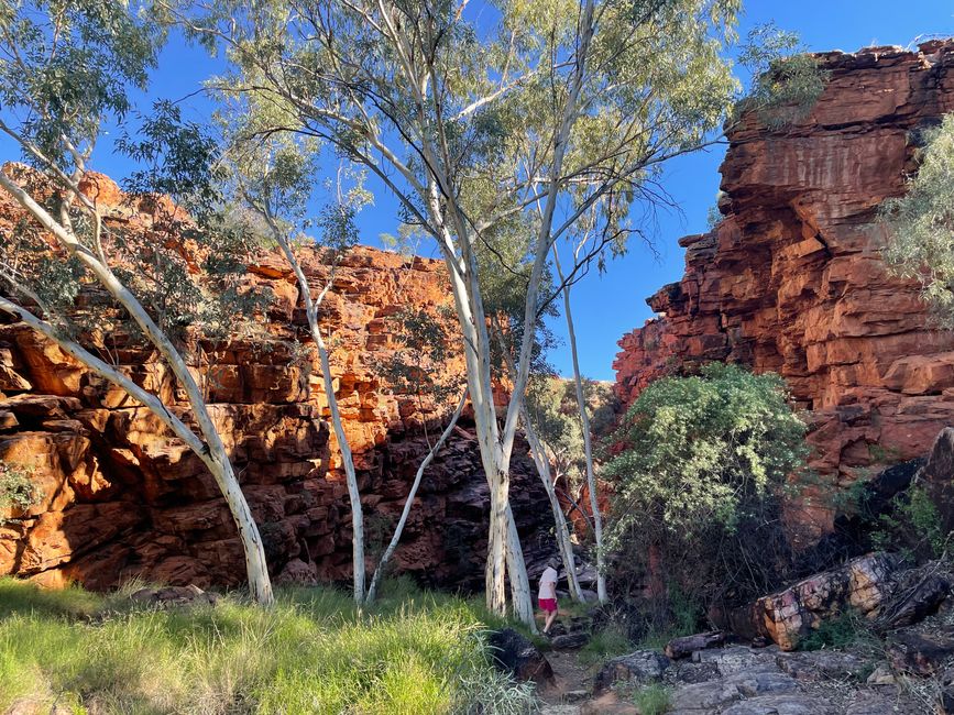 Birgit at John Hayes Rockhole