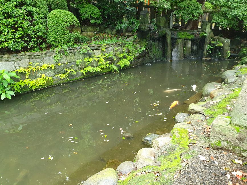 这座神社位于一个美丽的场地上