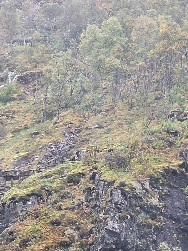 Etiqueta 7 Vossevangen - Flam