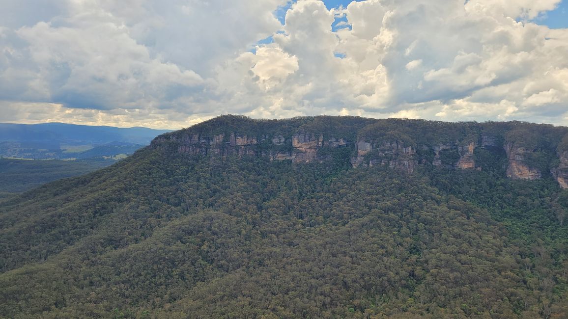 Blue Mountains – Eukalyptusbäume locken nicht nur Koalas an