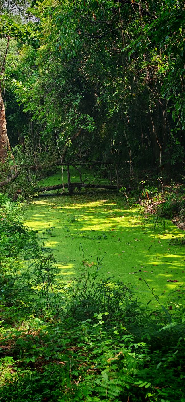 One night in Bangkok.. oder eben drei