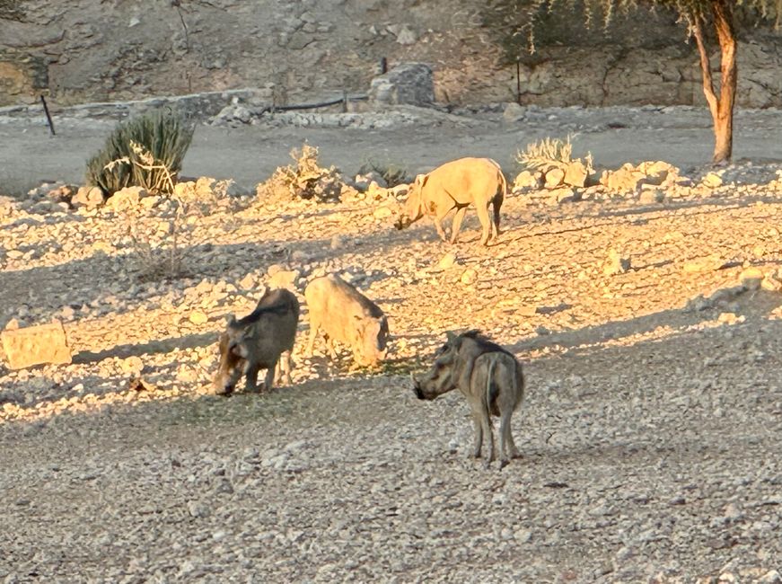 De Windhoek al Parque Nacional Namib Naukluft