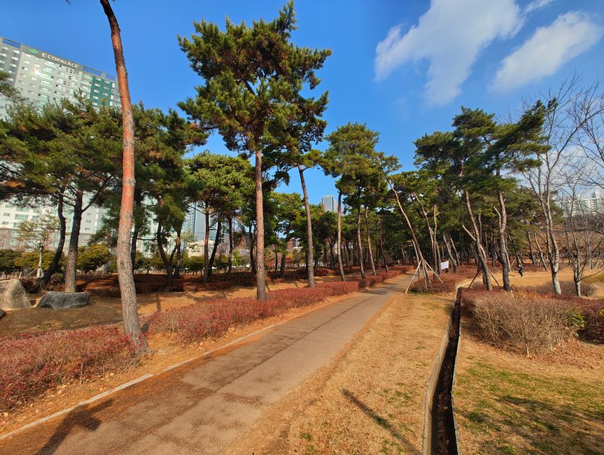 Hello, Korea — Hello, Japan
