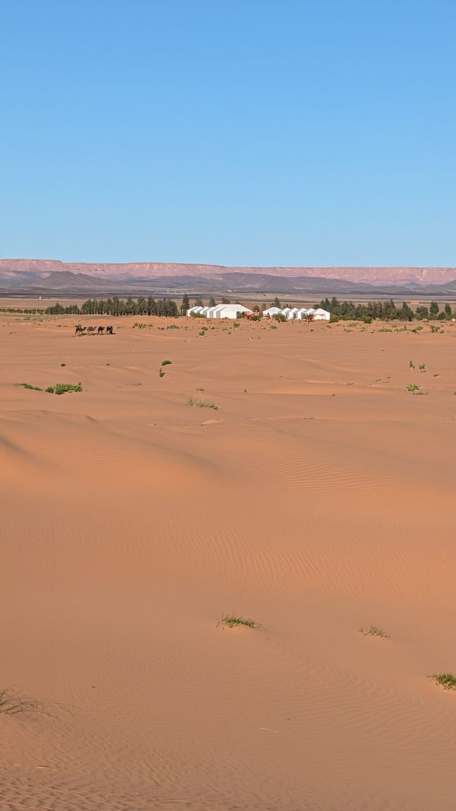 Tag 5: Midelt - Ziz Tal - Wüstencamp Hassilabied