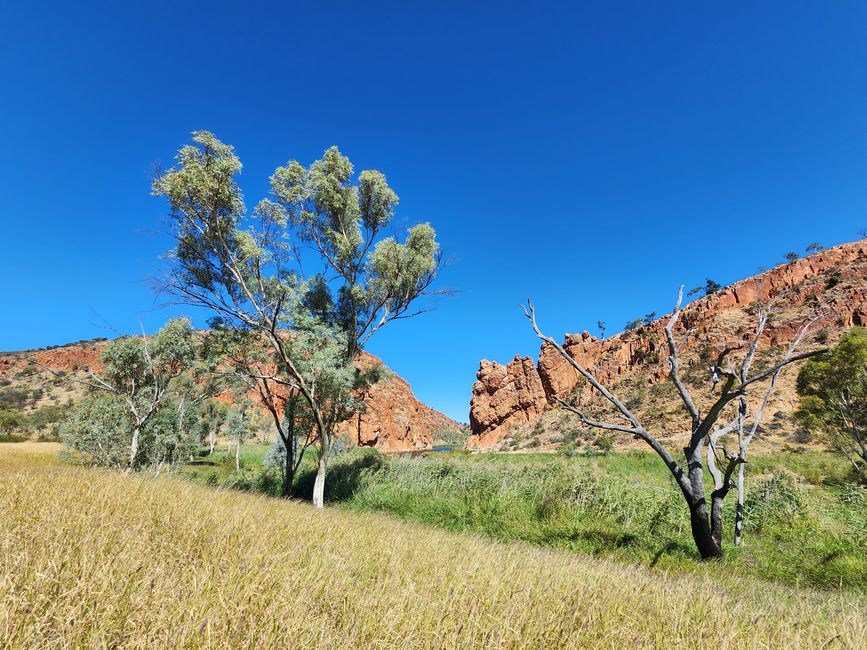 Tag 10, 4. May, Ormiston Gorge im West MacDonnel National Park