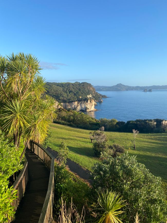 Coromandel loop