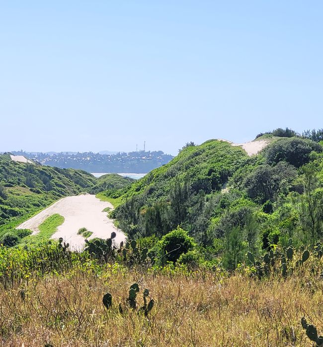 Día 136 de 175: Crucero alrededor del mundo - Puerto de Ehoala/Madagascar
