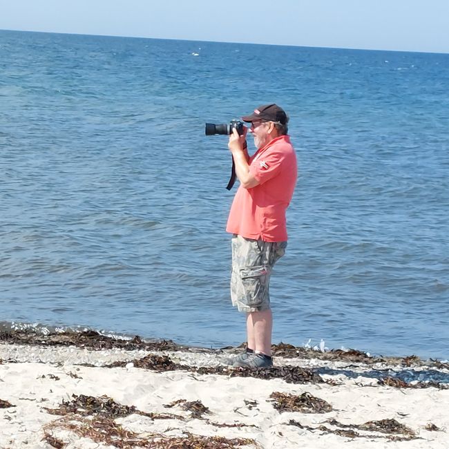 Fehmarn