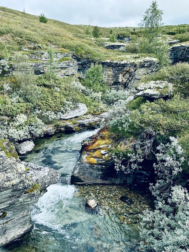 Promenade avec une brise légère - Impressions de Høvringen