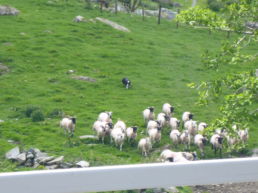 Irland