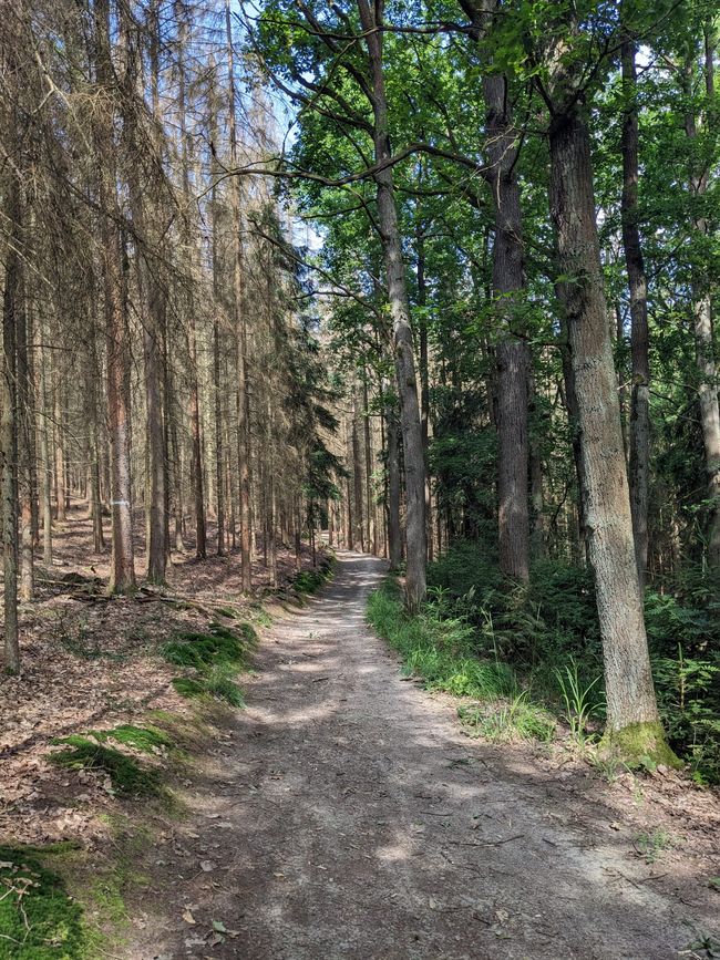4. Etappe Rudolstadt-Erfurt