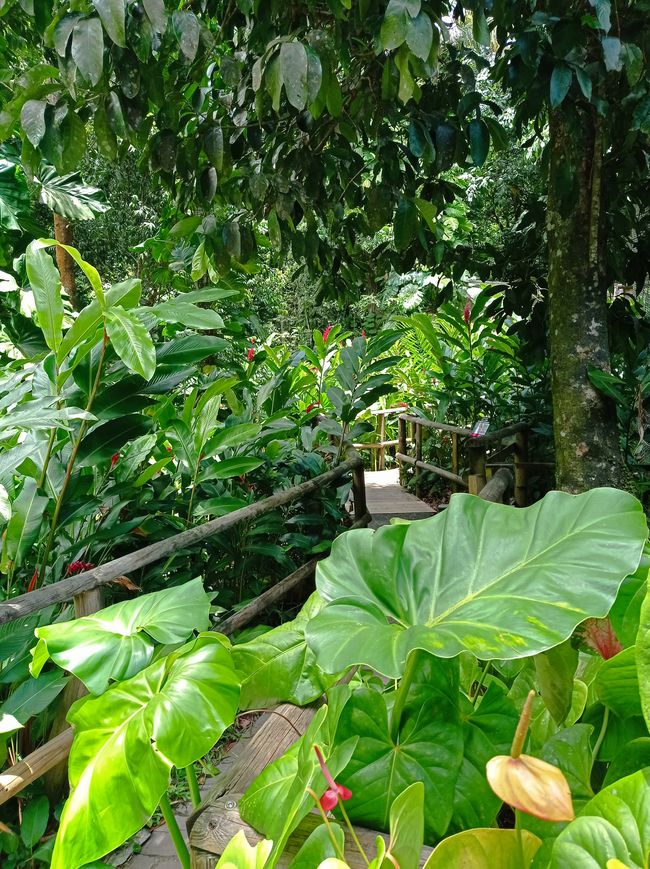 Zoo Guadeloupe