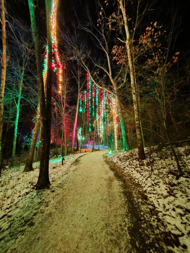 Dazzling Nights Pittsburgh Botanic Garden