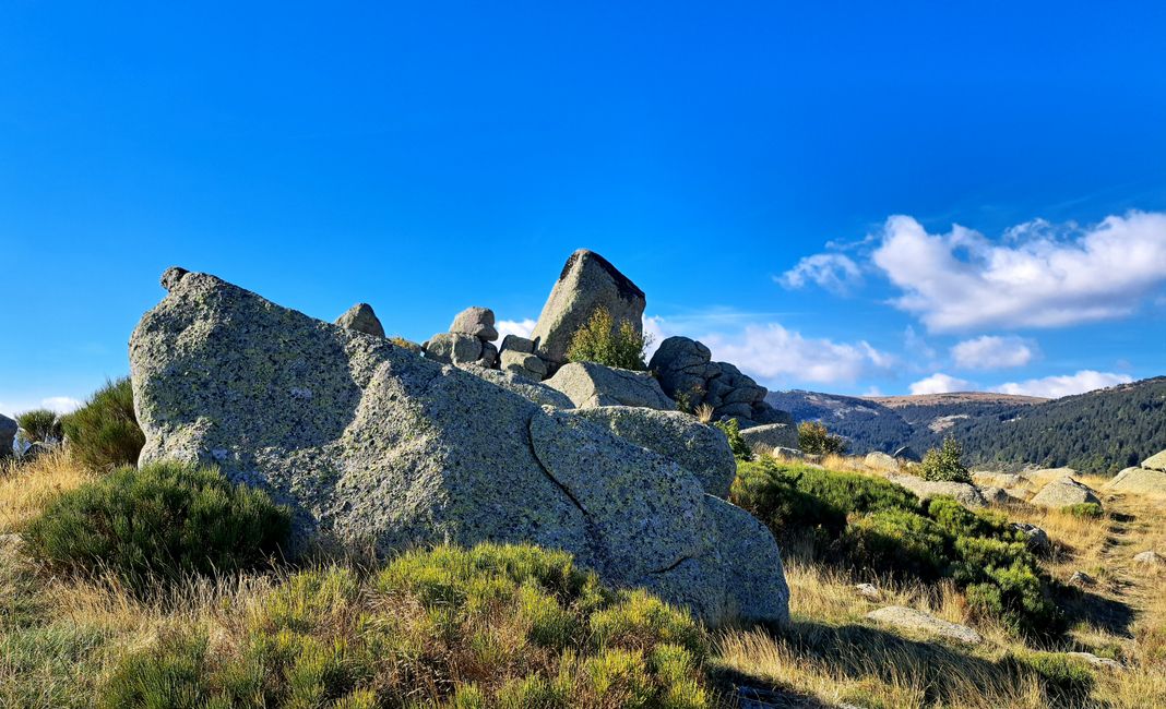 Steine im Lozére