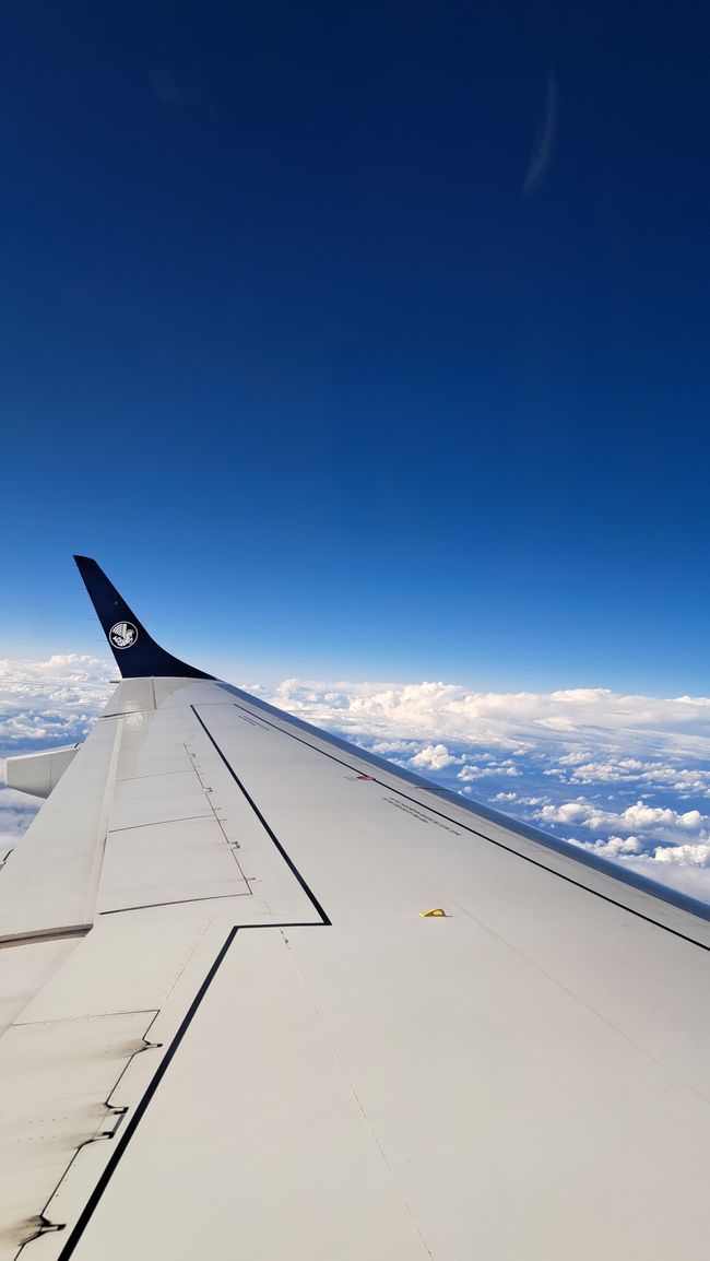 Rückflug