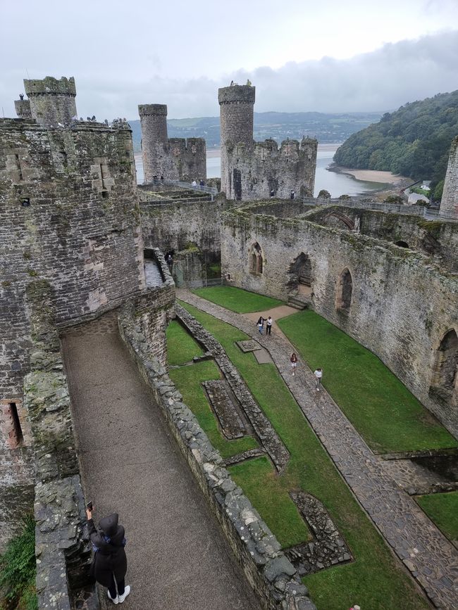 Conwy Castle 