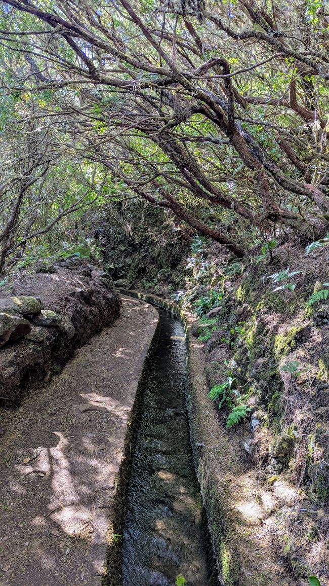 Tag 11: Levada do Alecrim und ein Open Air Festival