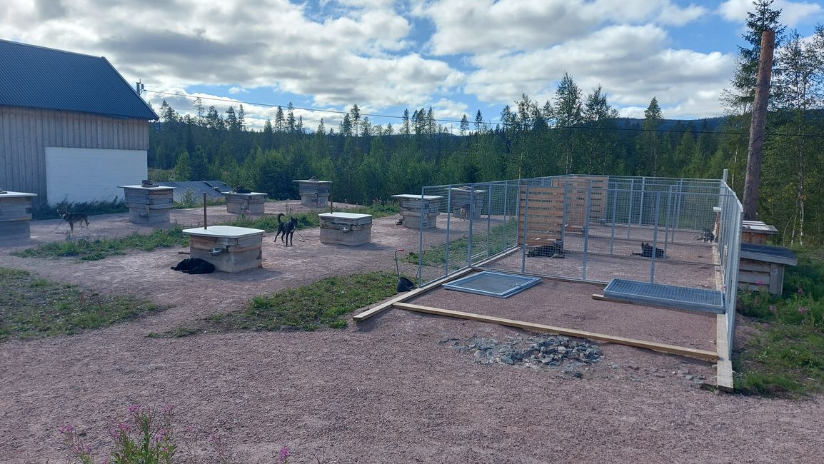 Villa Fregn - Huskyfarm - Fulufjällets NP - Mora