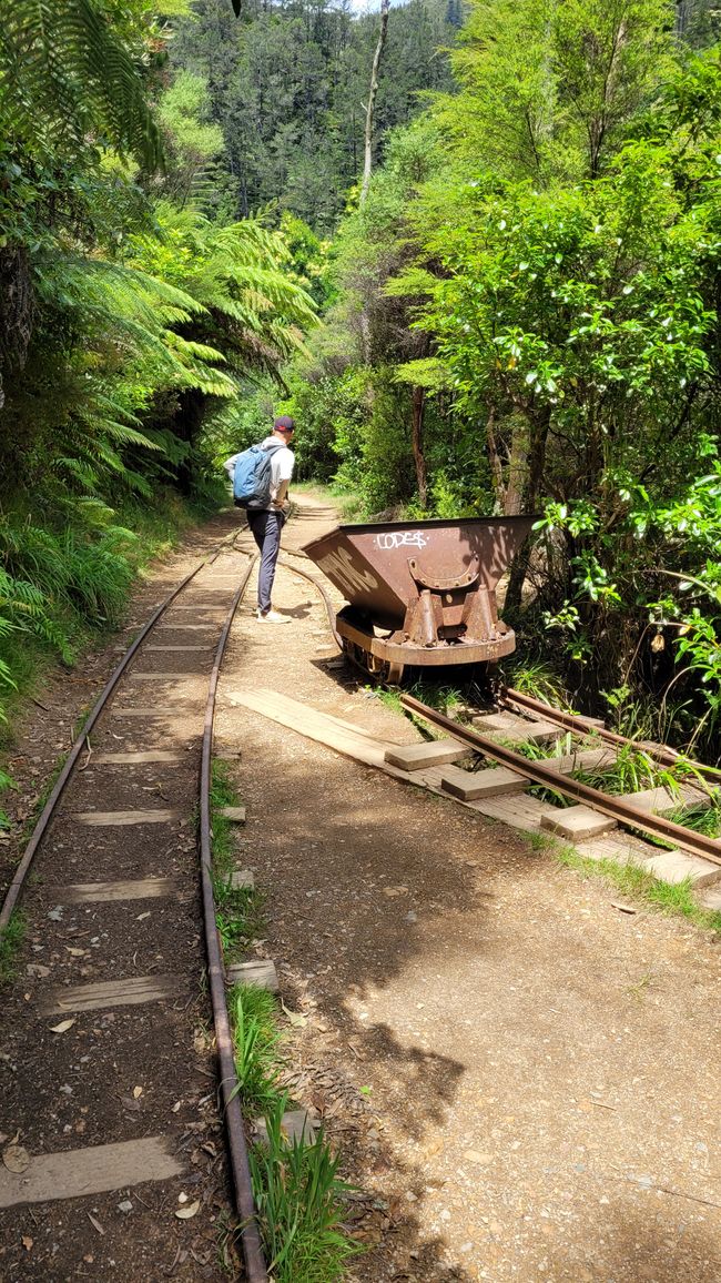 On the Trail of the Gold and Ore Mine in the Karangahake Gorge