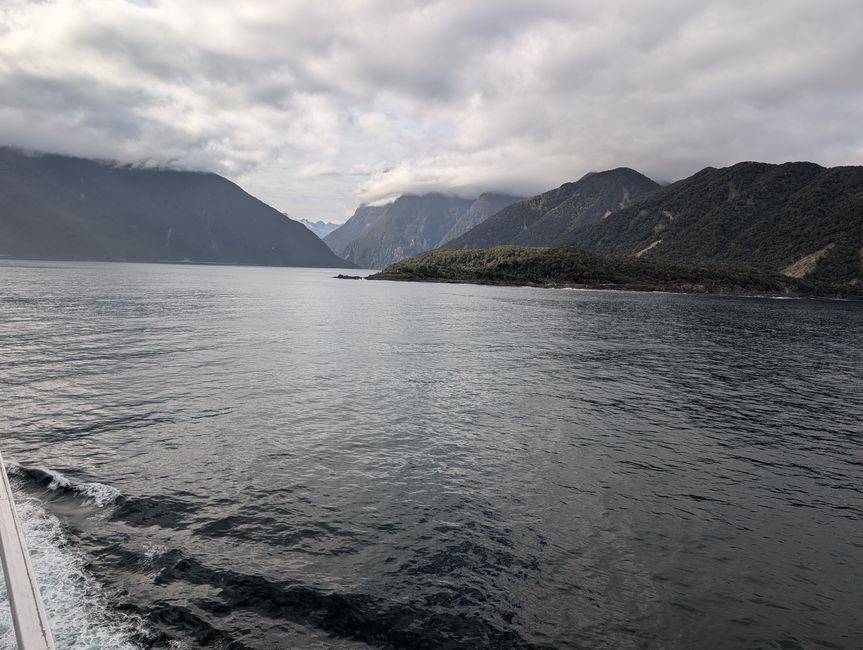 65.Tag 10.3.25 Milford Sound (Südinsel Neuseelands Westseite)