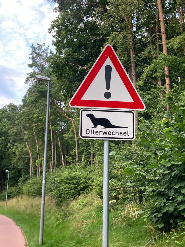 Von der Mühle Tornow nach Fürstenhagen in die „Alte Schule“