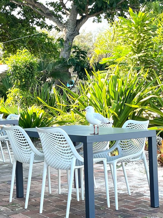 Abschied von Great Keppel Island & Aufbruch nach Noosa