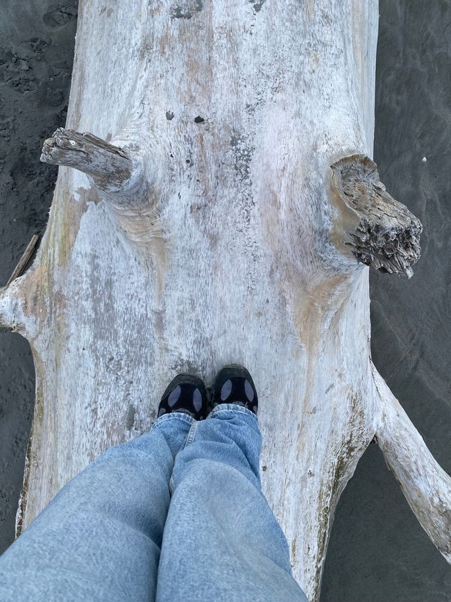 Da Hokitika a Carters Beach