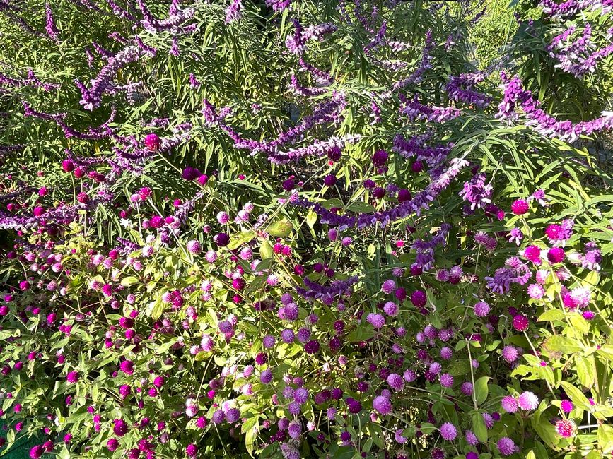 4.Kapitel: Ein bisschen vorzeitig ins Paradies