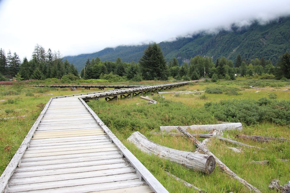 Estuary Boardwalk Stewart