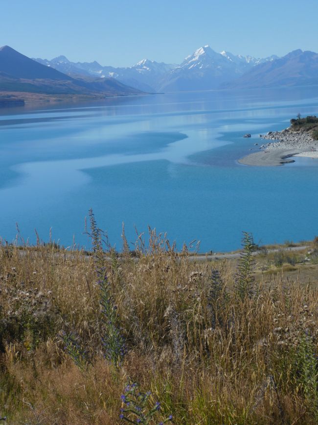 2025-01-27 Christchurch et Lake Pukaki, Nouvelle-Zélande