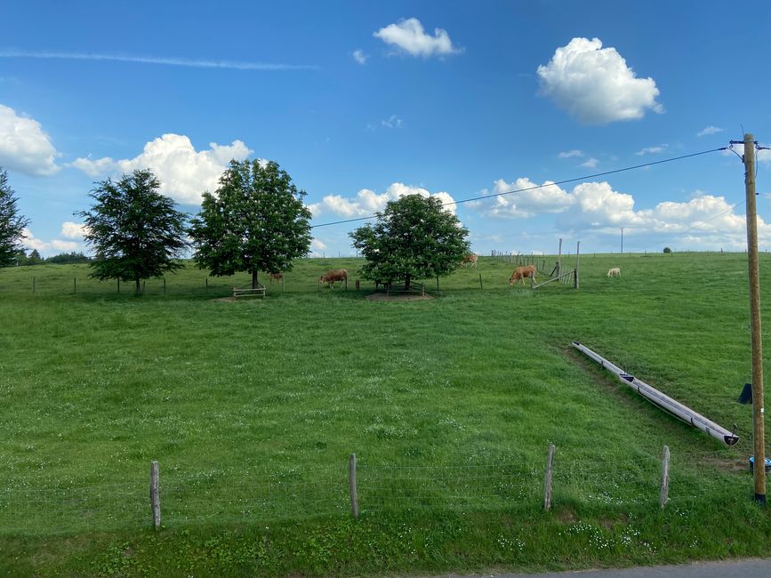 Kurztrip nach Wallersheim in der Vulkaneifel