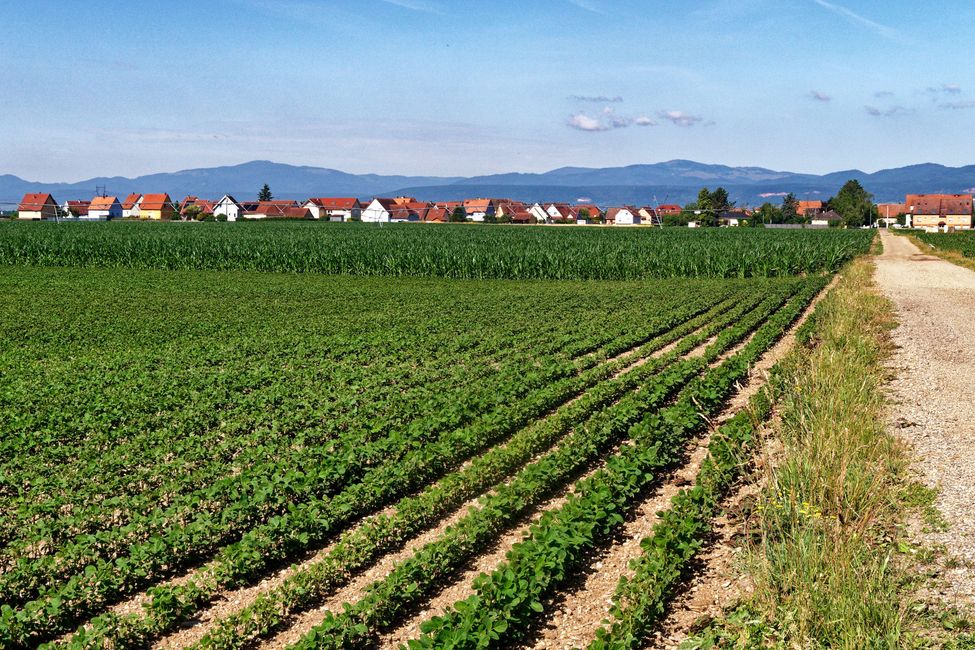 Da Neuf-Brisach a Colmar