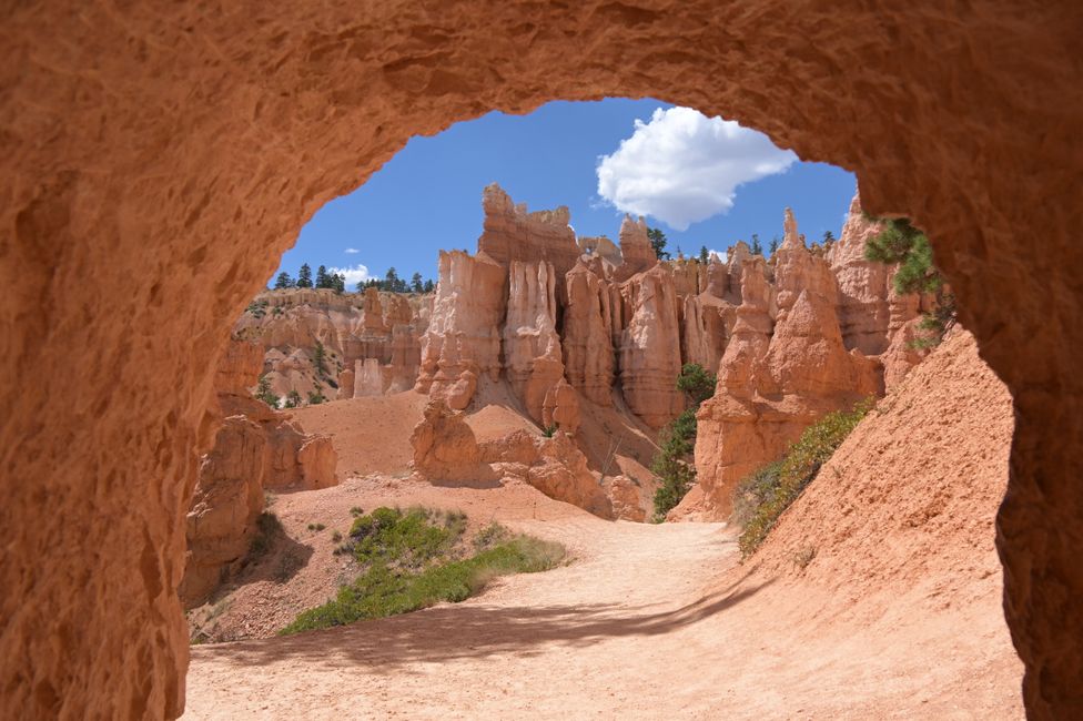 Im Amphitheater