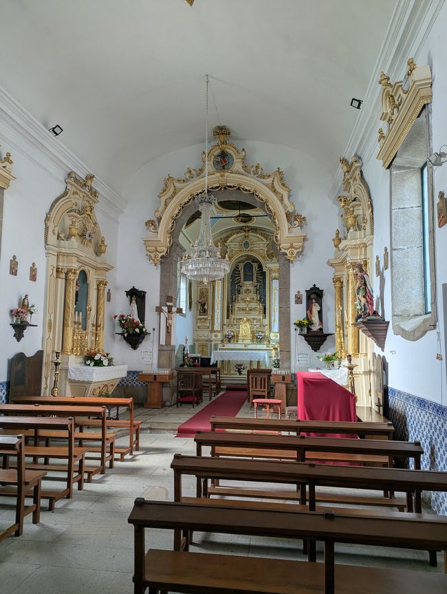 Biotopo dei pellegrini in Portogallo (Camino Portugues 4)