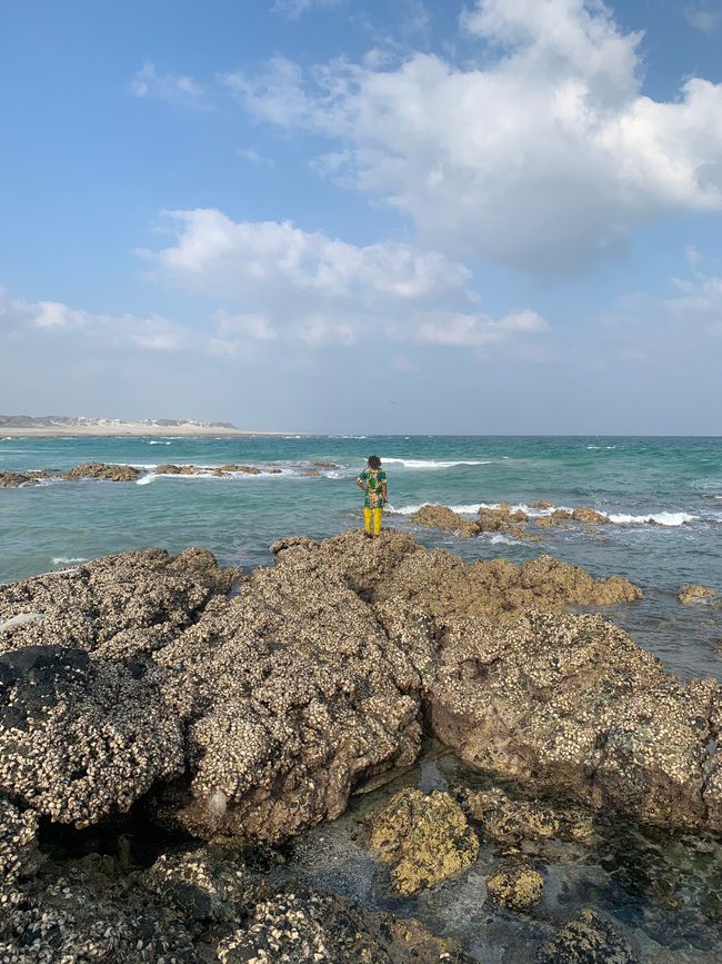 Isola di Masirah