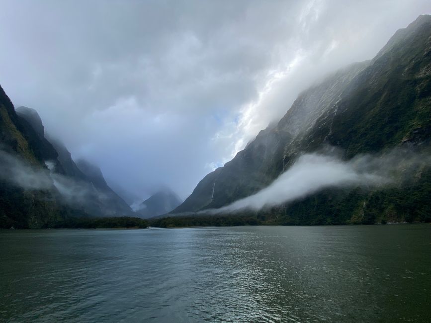 Road trip to Milford Sound