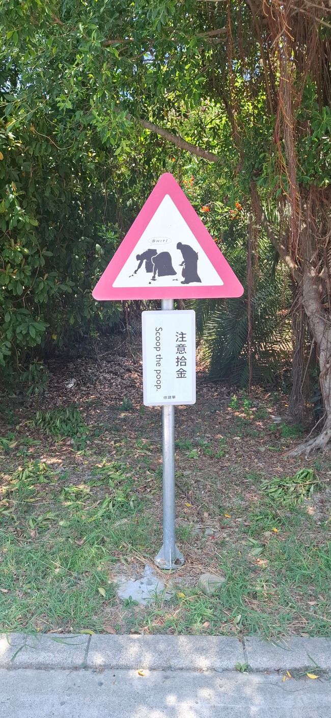 Zhiben Forest Park 2