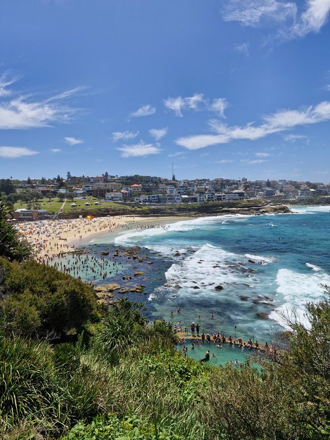 Bondi im Hintergrund