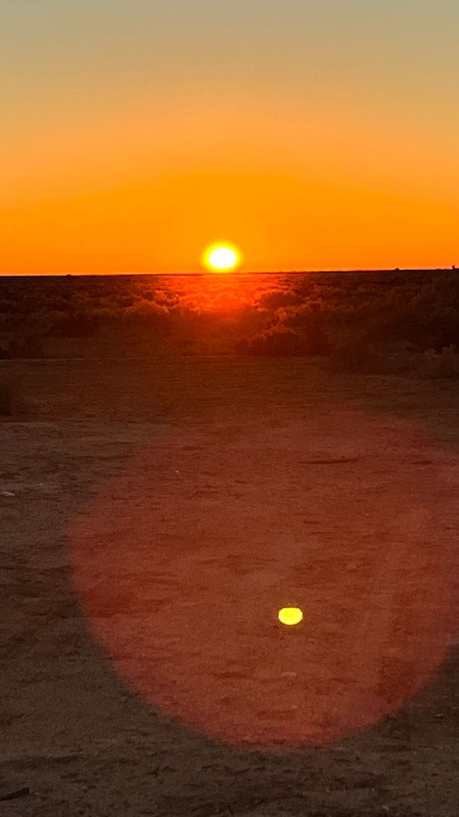 Nullarbor - Welcome to the Outback 🦘