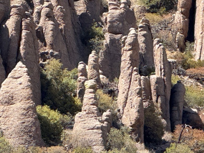 BLOG 12: In der Heimat der Chiricahua-Apachen