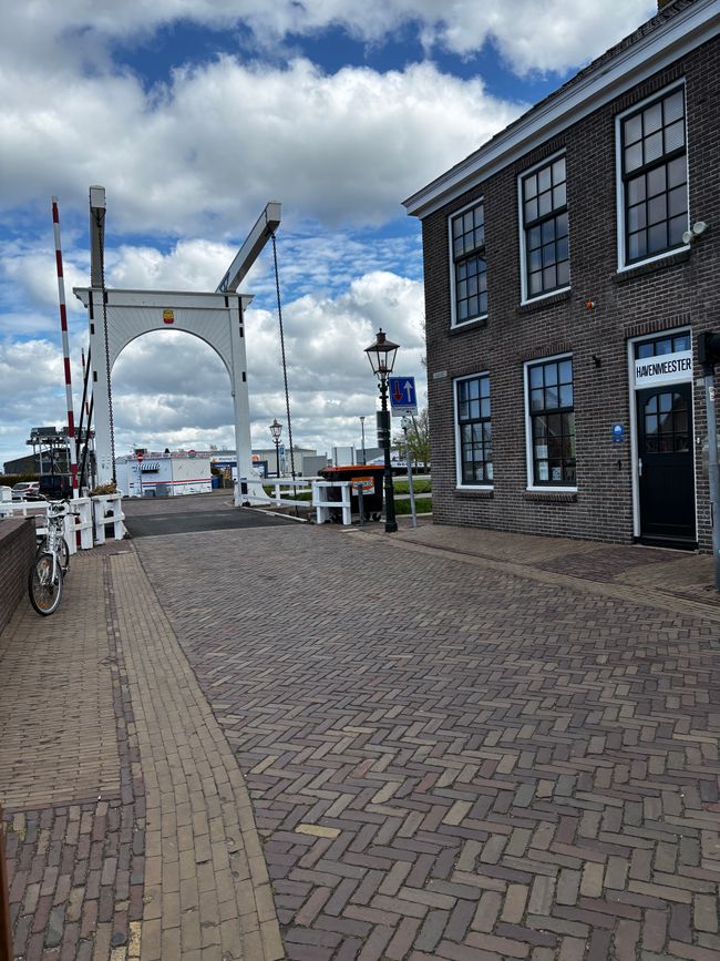 2026 - 05 Des moutons à Lemmer