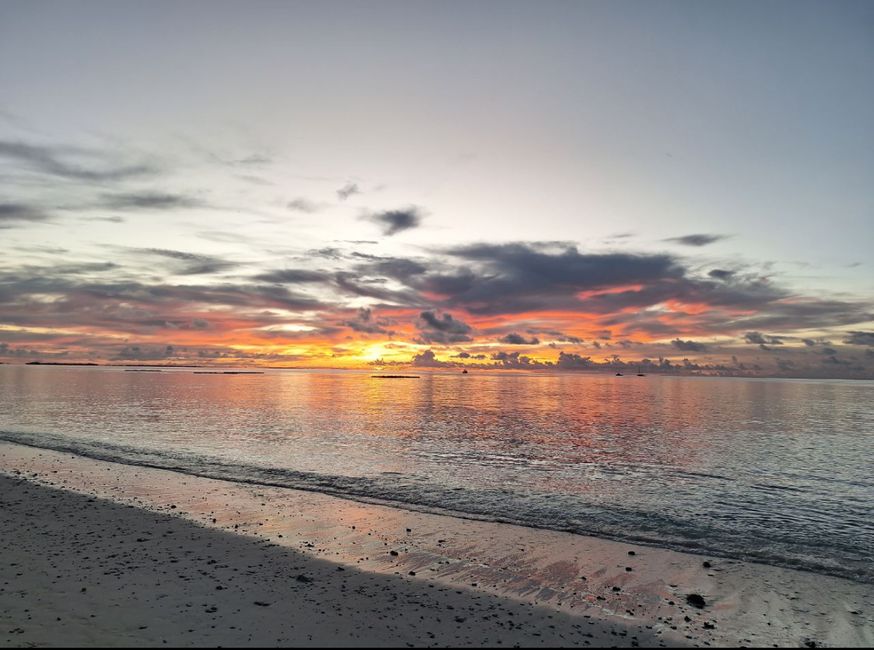 10 Días en Thundufushi - Un Viaje a Través de Aguas Azules, Jardines de Coral y Momentos de Quietud