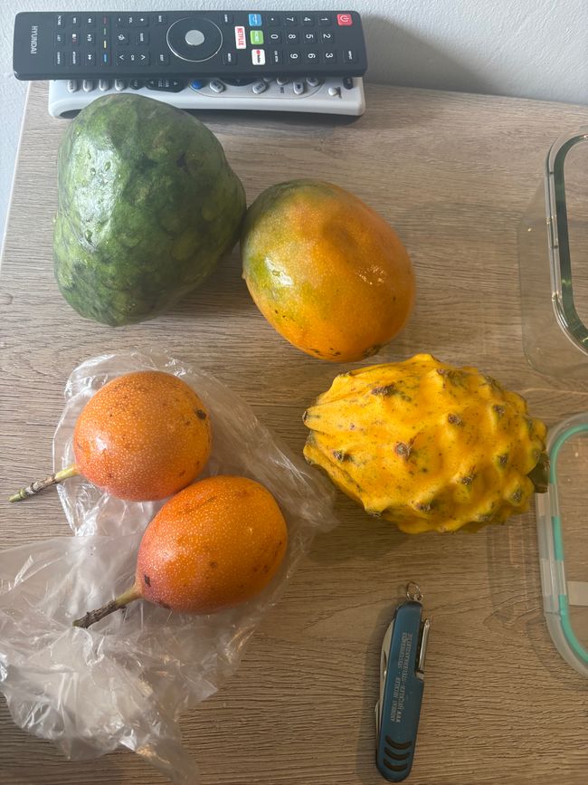 Erste Maßnahme: erst mal frisches leckeres Obst kaufen, die Auswahl ist im Gegensatz zu Chile riesig.
