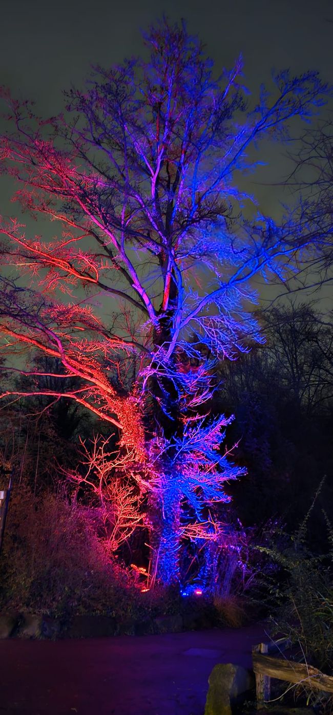Giardino di Natale allo Zoo di Hannover