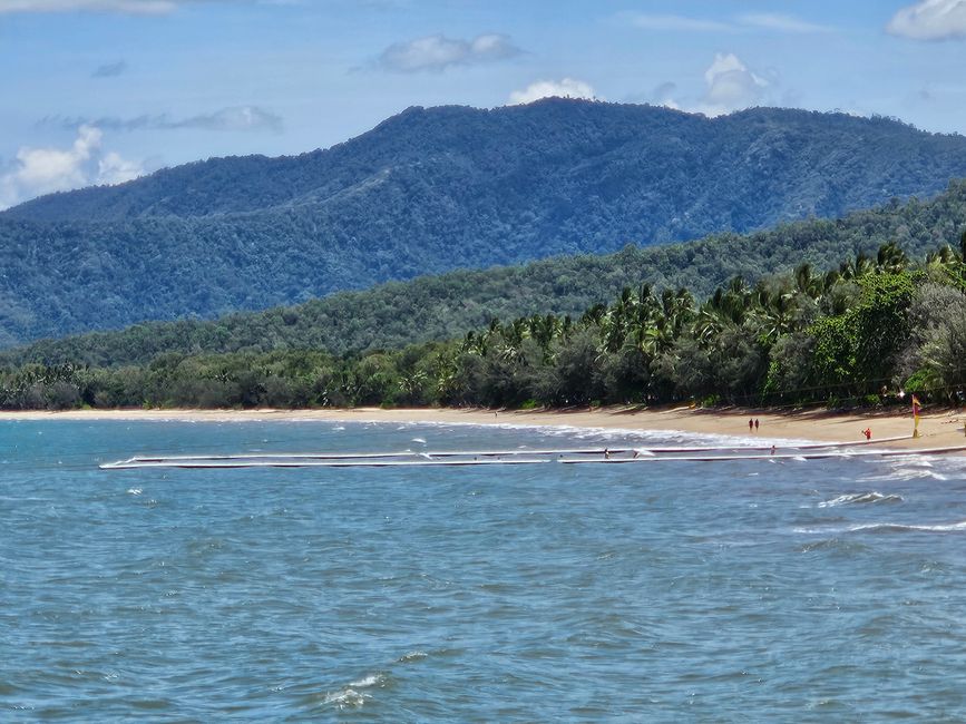 66. Day Cairns, Australia 29.01.2026